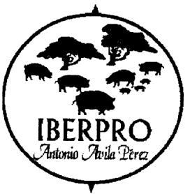 Imagen de IBERPRO ANTONIO AVILA PEREZ