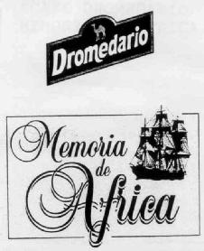 Imagen de DROMEDARIO MEMORIA DE AFRICA