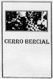 Imagen de CERRO BERCIAL