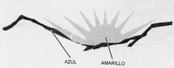 Imagen de M2467190
