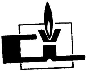 Imagen de AIV