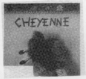 Imagen de CHEYENNE
