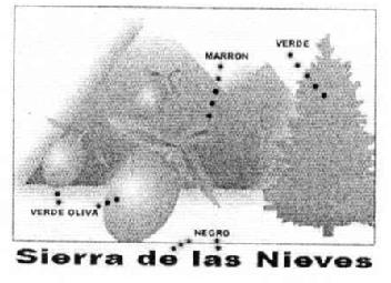 Imagen de SIERRA DE LAS NIEVES