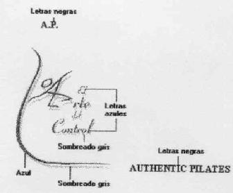 Imagen de AP EL ARTE DEL CONTROL AUTHENTIC PILATES