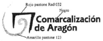 Imagen de COMARCALIZACION DE ARAGON