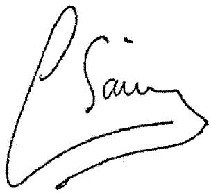 Imagen de C SAINZ