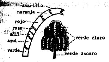 Imagen de M1628421