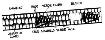 Imagen de VITA