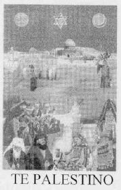 Imagen de TE PALESTINO