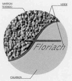 Imagen de F FLORIACH