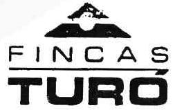 Imagen de FINCAS TURO