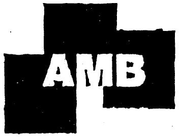 Imagen de AMB