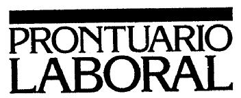Imagen de PRONTUARIO LABORAL
