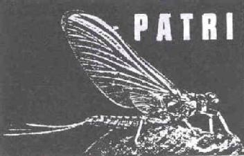 Imagen de PATRI