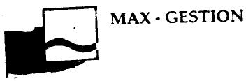 Imagen de MAX-GESTION