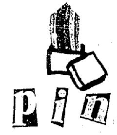 Imagen de PIN