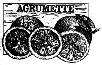 Imagen de AGRUMETTE