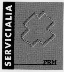 Imagen de SERVICIALIA PRM