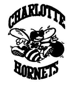 Imagen de CHARLOTTE HORNETS