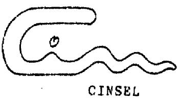 Imagen de CINSEL