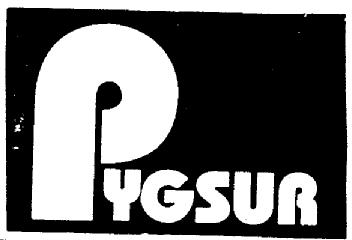 Imagen de PYGSUR