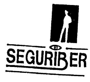 Imagen de SEGURIBER