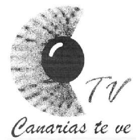 Imagen de TV CANARIAS TE VE