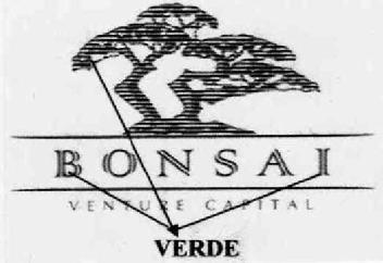Imagen de BONSAI VENTURE CAPITAL