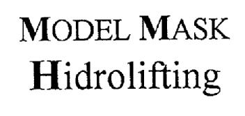 Imagen de MODEL MASK HIDROLIFTING