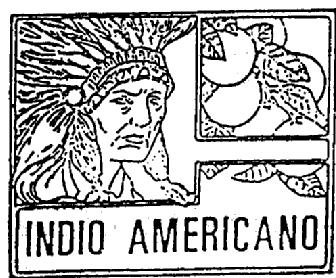 Imagen de INDIO AMERICANO