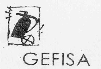 Imagen de GEFISA