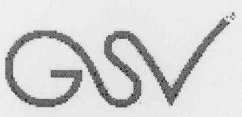 Imagen de GSV