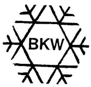 Imagen de BKW