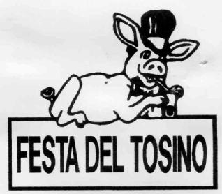 Imagen de FESTA DEL TOSINO
