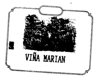 Imagen de VIÑA MARIAN