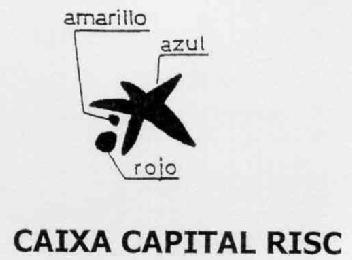 Imagen de CAIXA CAPITAL RISC
