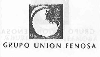 Imagen de GRUPO UNION FENOSA