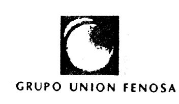 Imagen de GRUPO UNION FENOSA