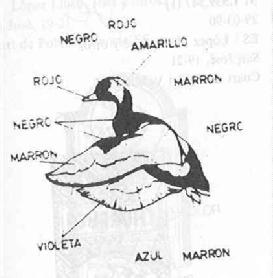 Imagen de M1559541