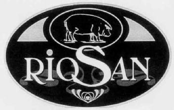 Imagen de RIOSAN