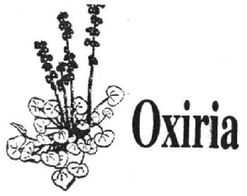 Imagen de OXIRIA
