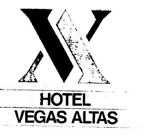 Imagen de HOTEL VEGAS ALTAS