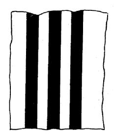 Imagen de M1668157