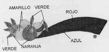 Imagen de M2485164