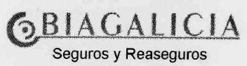 Imagen de BIAGALICIA SEGUROS Y REASEGUROS