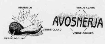 Imagen de AVOSNERJA
