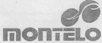 Imagen de MONTELO