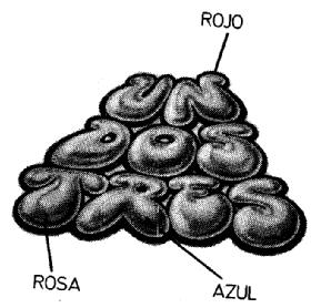 Imagen de UN DOS TRES
