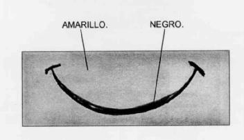 Imagen de M2486382