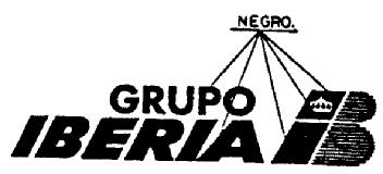 Imagen de GRUPO IBERIA IB